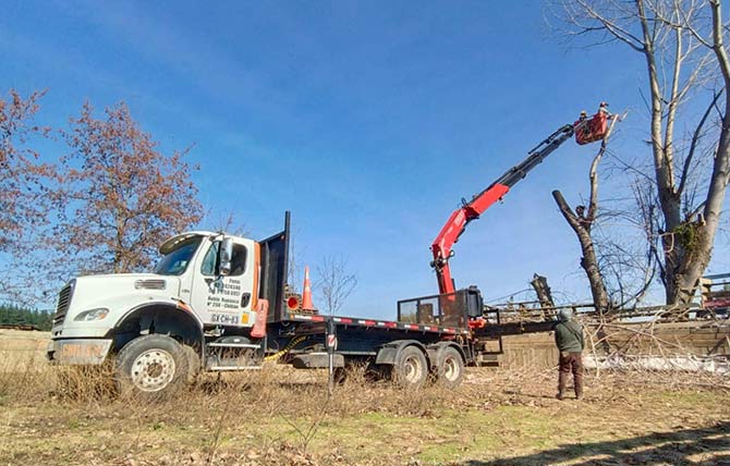 Grúa pluma alza hombre altura